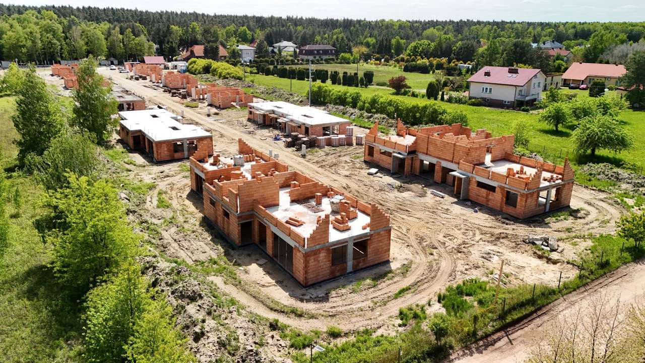 Aleja Ptaków Leśnych maj 2025