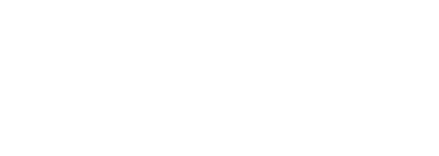 PZFD Logo